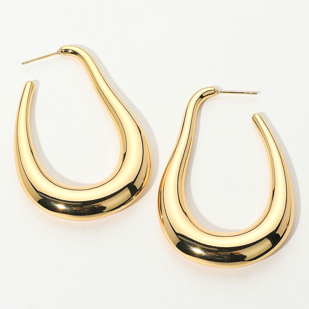 
  
  Stainless Steel Abstract Earrings
  
